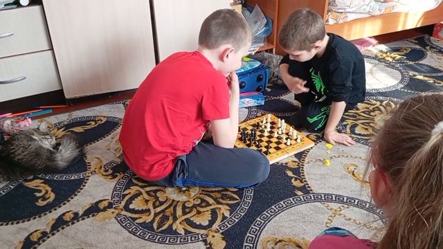 Будни нашей семьи.Ох уж эти мальчишки .