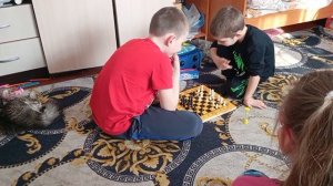 Будни нашей семьи.Ох уж эти мальчишки .