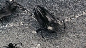 15 ЛУЧШИХ ФАНТАСТИЧЕСКИХ ФИЛЬМОВ ПРО МОНСТРОВ КОТОРЫЕ СТОИТ ПОСМОТРЕТЬ! 2026