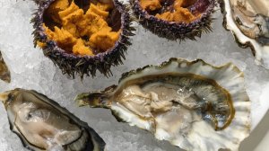 Магазин морепродукты устрицы | Интересные  находки,  много металла старая медь 🫣 Остров Сахалин