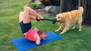 СМЕШНЫЕ МОМЕНТЫ, КОГДА ЖИВОТНЫЕ СРЫВАЮТ ТРЕНИРОВКУ