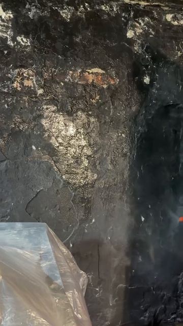 Удаление плесени в Москве и Московской области