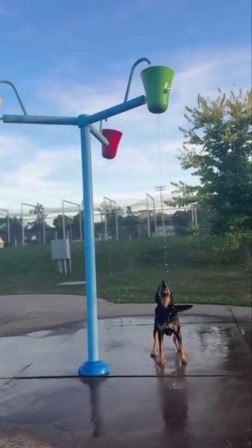 Как же он счастлив