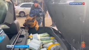 В Красноярском крае полицейские изъяли около 25 килограммов наркотиков у жительницы Уфы