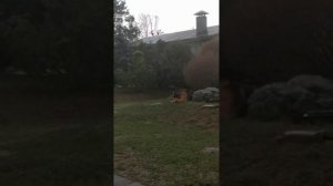 Болтали в саду