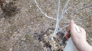 огород 13апреля