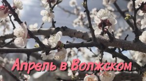 Апрель в Волжском. Городские зарисовки✅