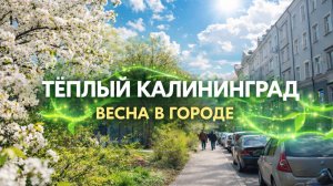 Весенний Калининград 2026 🌿 Пасха и тёплый день +14
