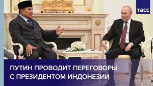 Путин проводит переговоры с президентом Индонезии