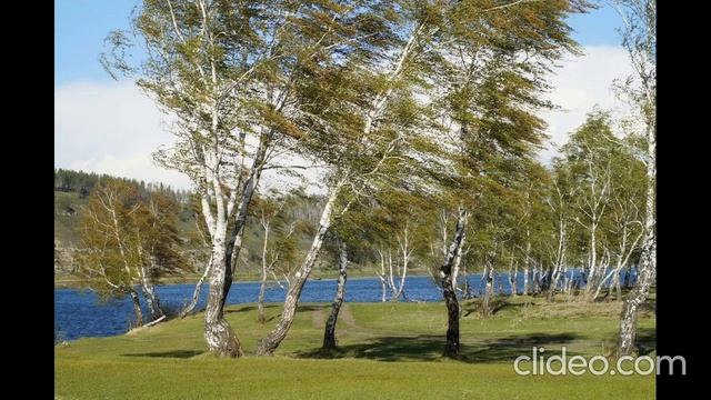 The Neptunov - Alb. 1