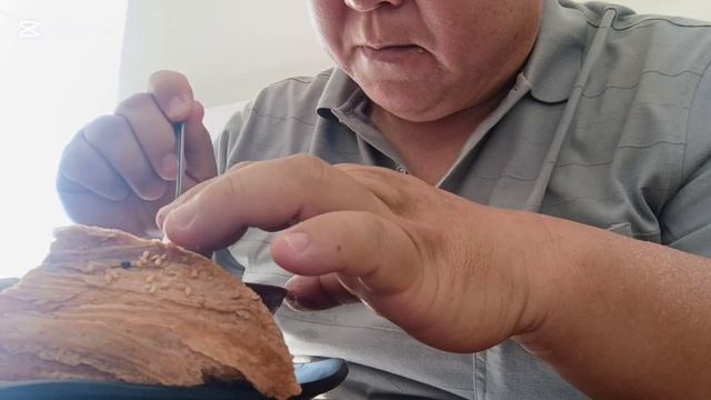 Коса самса с блогером Игорем Бондаренко.Минихашар у Мурада.Влог#291