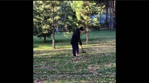 МАОУ СОШ №10 с УИОП, Волонтерский отряд "Прометей", "Доброта спасет мир"