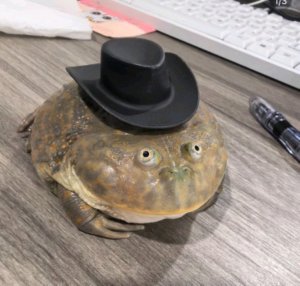 делаю комнату для штефана