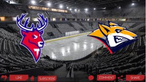 Торпедо - Металлург | Текстовая трансляция