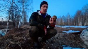 Вальдшнеп открытие сезона 2026