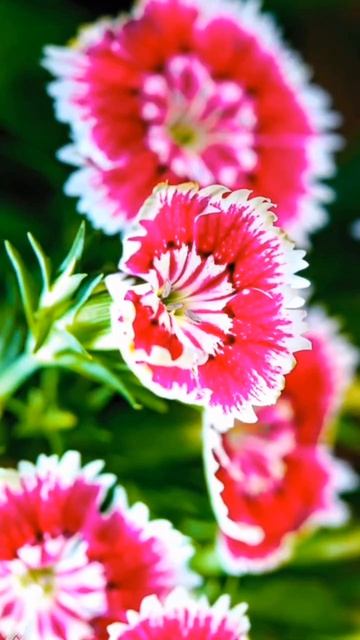 Бог это Всё