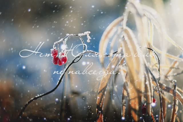 Нет, Юля, эта боль не навсегда. (Резная Свирель)