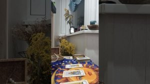 Карта дня