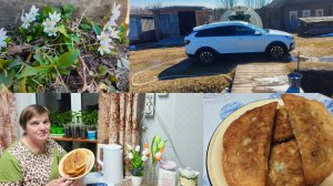 Окно помыла ,обрезала малину ,работы много и всё разная .