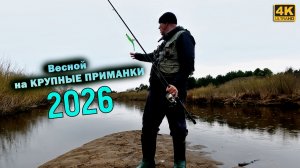 Весной КРУПНЫЕ ПРИМАНКИ с берега - что поймаю?!