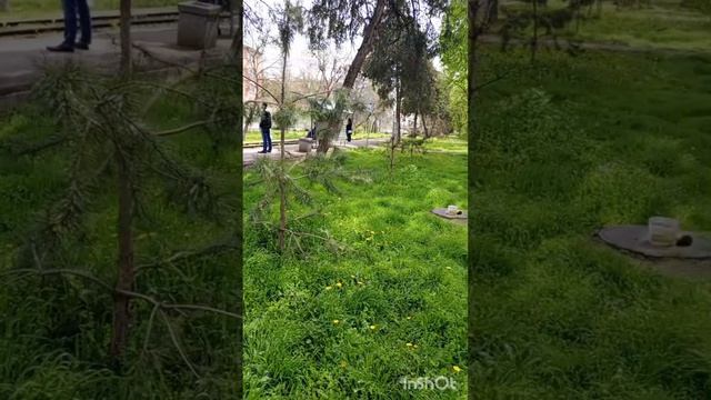 Иду в магазин и аптеку.