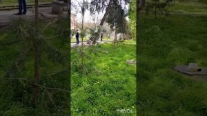 Иду в магазин и аптеку.