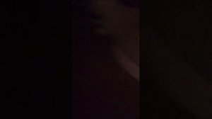 выполняю задание