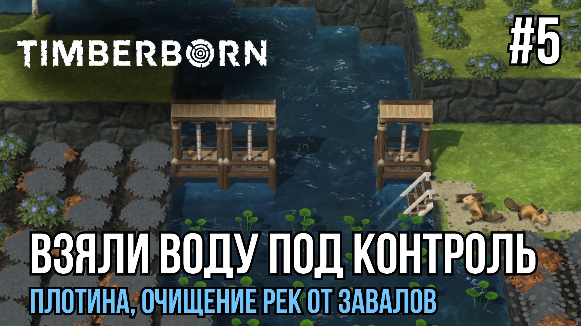 Взяли воду под контроль | Timberborn #5