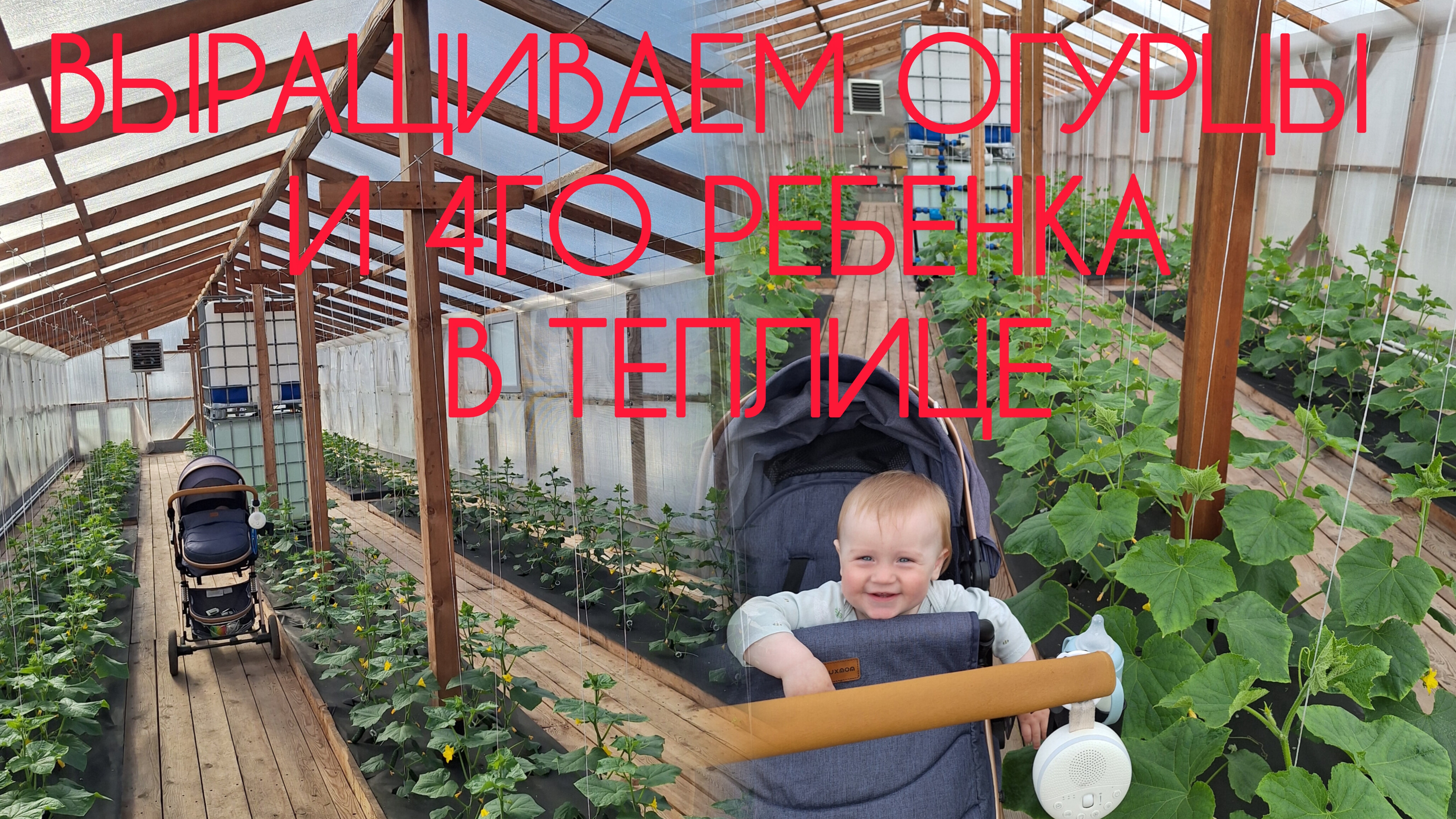 Каникулы закончились, погода поменялась, а планов все больше.. Живая жизнь в маленькой деревне