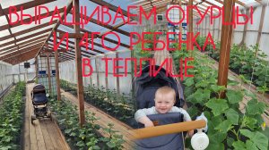 Каникулы закончились, погода поменялась, а планов все больше.. Живая жизнь в маленькой деревне