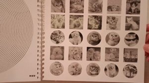 Обзор на Мяу-раскраску. Линии. Спирали. Точки