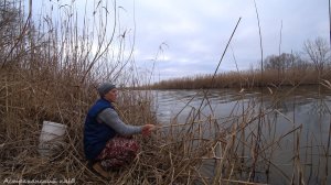 РЫБАЛКА на БАМБУК КАК В ДЕТСТВЕ. БЕШЕНЫЙ КЛЕВ КРУПНОЙ КРАСНОПЕРКИ на ПОПЛАВОК ЗИМОЙ.