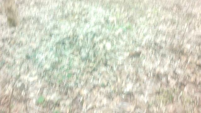 на природе часть 3