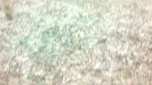 на природе часть 3