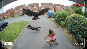 105 НЕВЕРОЯТНЫХ МОМЕНТОВ, СНЯТЫХ НА ЗАДНЕМ ДВОРЕ