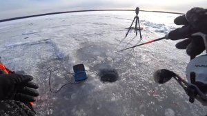 КОВАРНЫЙ ПЕРВЫЙ ЛЕД! Я ПРОВАЛИЛСЯ! Первый лёд 2025. Зимняя рыбалка.