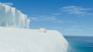 Мама или Папа