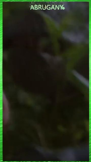 Jurassic Park & Part 1 & The little dinosaur wants to eat - Coffin Dance (Cover)