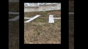 Куда идём мы с Пяточком?Это вовсе не секрет! 13-04-2026