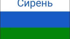 ФЛАГ НОВЫЙ СИРЕНИ СТРАНЫ МОЕЙ.