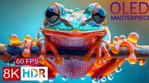 Красивое видео. Невероятные цвета.