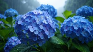 ✧ Спокойная фоновая  музыка для учебы, работы, сна и расслабления | Honeyed Garden