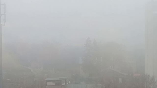 Вот такое утро 🌄🙋. ТУМАН. И хочется слушать 🎧музыку. И просто 💞сегодня так. Слушаем....