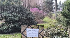 Экспозиция «Вересковый сад» в Главном ботаническом саду Москвы в апреле месяце.