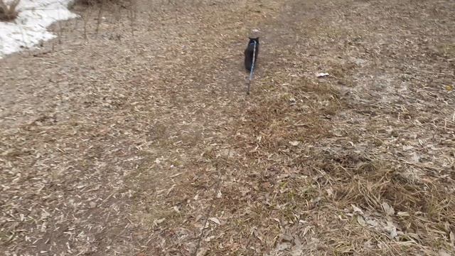 На улице хорошо, прогулка.