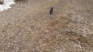 На улице хорошо, прогулка.