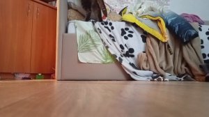 любимые цвета