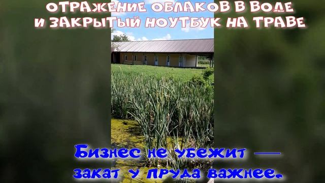 Пруд и облака