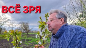 1170 Всё Зря.Не нужно было ехать в святой праздник. Жизнь в станице на Кубани.
