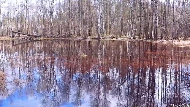 2026411: Заливной луг за Красными озёрами в Заречном - часть 1-я - S